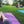 Load image into Gallery viewer, Weekend with Icon For Hire
